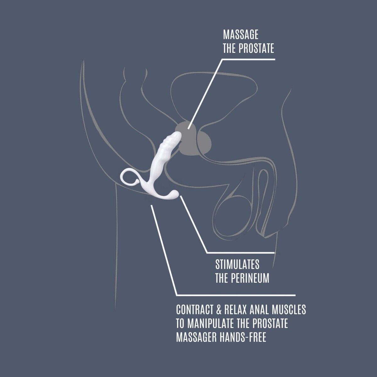 Male P Spot Prostate Massager Stimulator Anal Play Butt Plug Sex Toys for Men