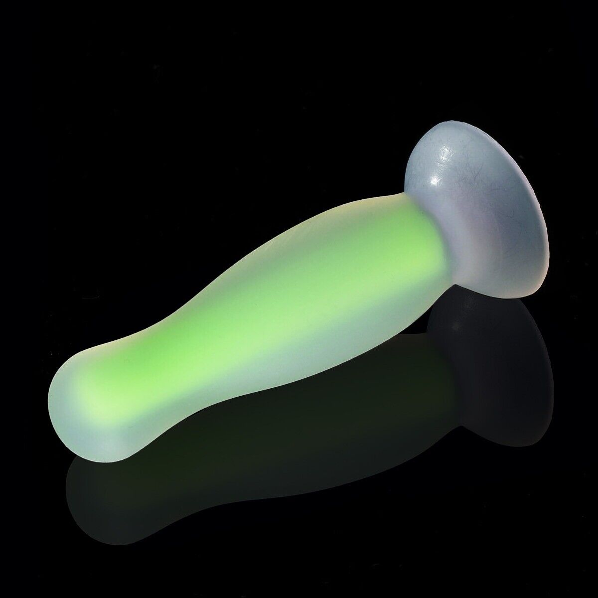 Glow-in-the-Dark Silicone Anal Trainer Butt Plug Dildo Combo Anal Sex Toys